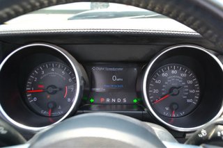 Ford Mustang Mach-E 2019