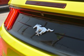 Ford Mustang Mach-E 2019