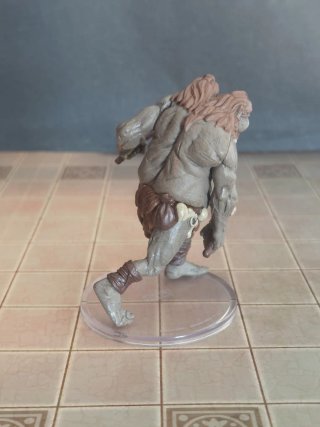 Ettin Giant Kjn