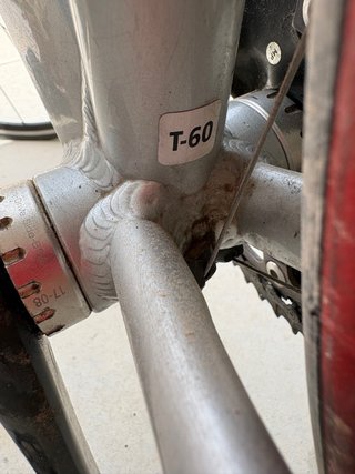 Orbea Asphalt Talla 60