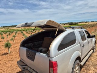 Nissan Navara 2007