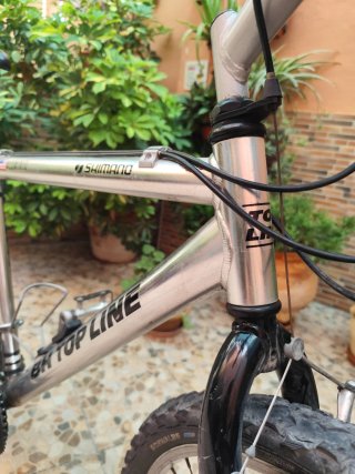 Bicicleta BH Aluminio Top Line