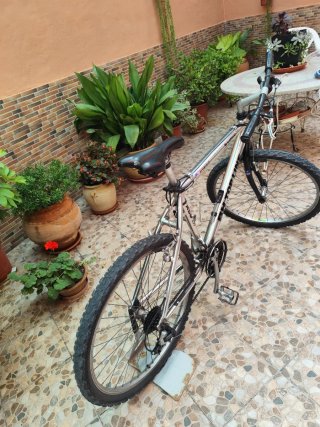 Bicicleta BH Aluminio Top Line