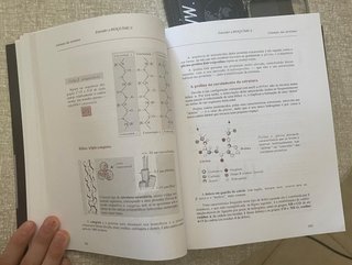 Entender a Bioquímica – 5.a Edição