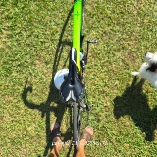 Bicicleta Wilier GT Triestina