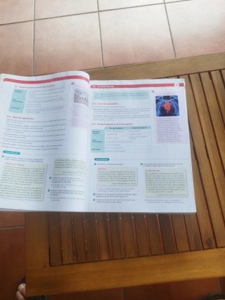Lengua castellana y literatura 1 Bachillerato