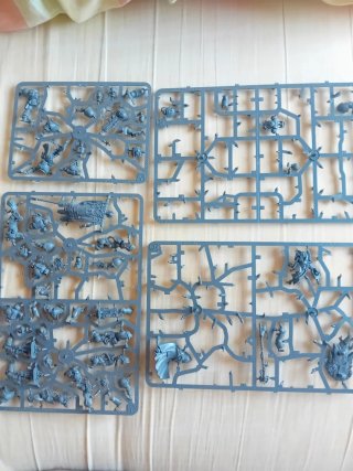 Warhammer 40k Erradicadores y Bibliotecario