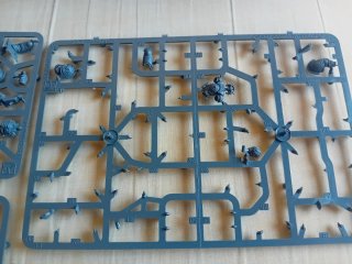 Warhammer 40k Erradicadores y Bibliotecario