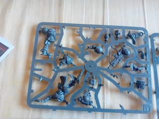 Warhammer 40k Erradicadores y Bibliotecario