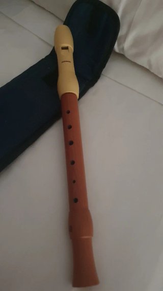 Flauta dulce Hohner con funda
