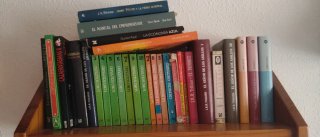 Lote de libros, colección literaria