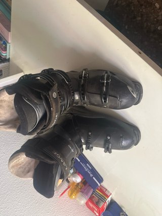 Botas de esquí Lange
