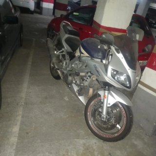 Suzuki SV-1000-S