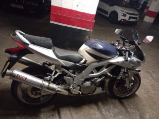Suzuki SV-1000-S