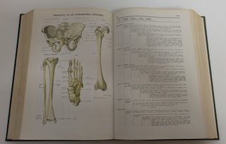 Diccionario terminológico de ciencias médicas.