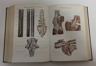 Diccionario terminológico de ciencias médicas.