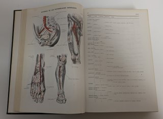 Diccionario terminológico de ciencias médicas.