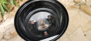 Barbacoa Weber 47cm