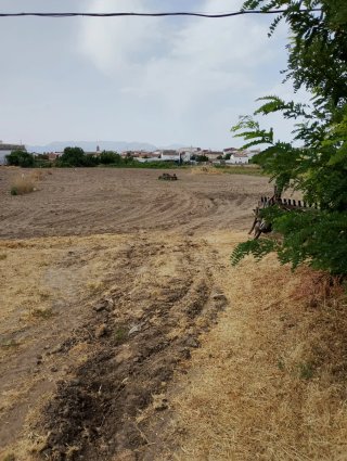 Terreno agrícola huerta en Baeza