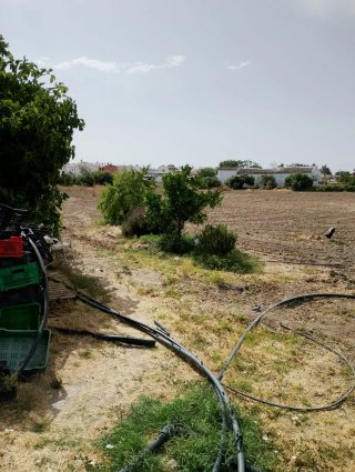 Terreno agrícola huerta en Baeza