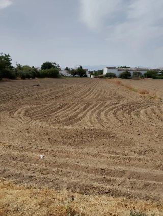 Terreno agrícola huerta en Baeza