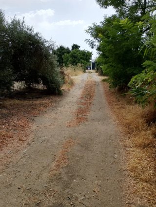 Terreno agrícola huerta en Baeza