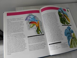 Libro "Il Corpo Umano"