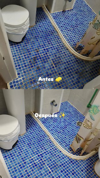 Limpieza del hogar
