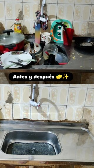 Limpieza del hogar