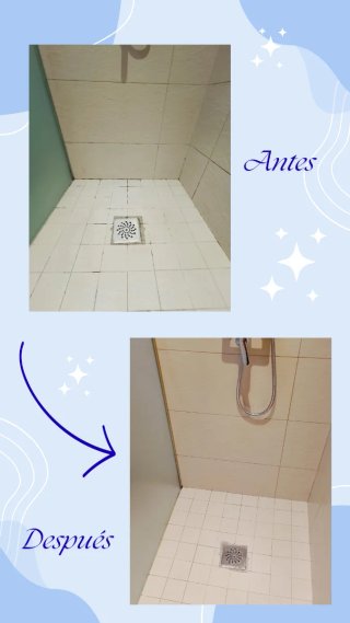 Limpieza del hogar