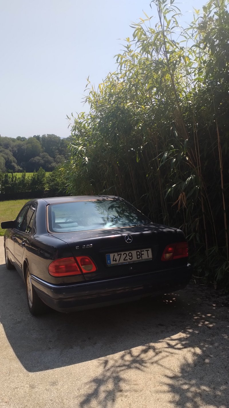 Mercedes-Benz Clase E 1999 - foto 1