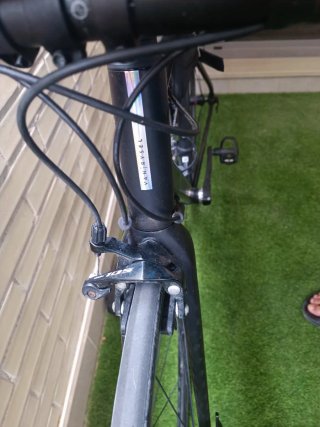 Bicicleta Van Rysel EDR AF Carretera