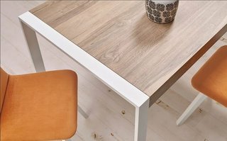 MESA COMEDOR TEMA.