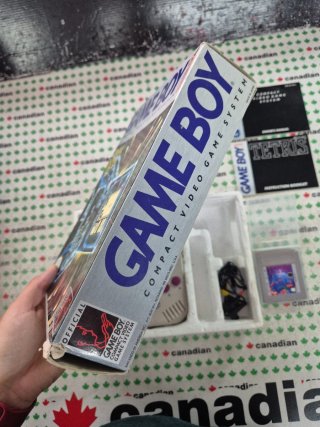 Consola Game Boy + Tetris