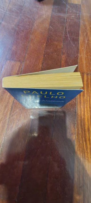 El peregrino de Compostela (diario de un mago)