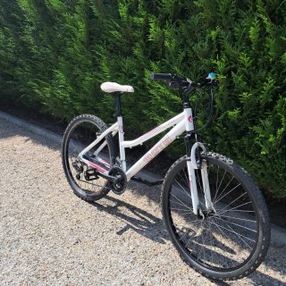 Bicicleta de Montaña DTB Blanca