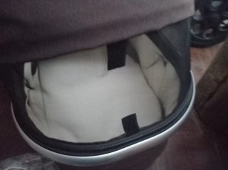 Silla Joolz reversible reclinable y capazo moisés
