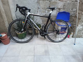 Bicicleta Carretera Cannondale Synapse Carbono.