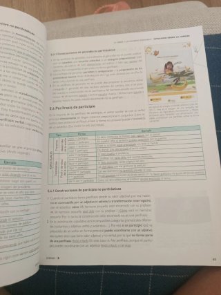 Lengua castellana y literatura 1, Le Bachillerato