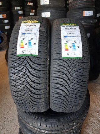Neumáticos West Lake All Season Z401 205/60R16 96V