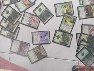 Carte Magic: The Gathering (Lot)