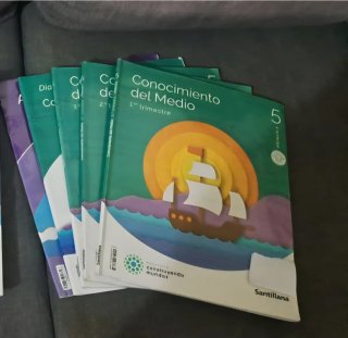 Libros de 5⁰ de primaria