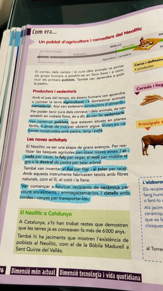 Medi social i cultural, 5 Educació Primària Pro...