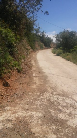 Finca rústica con construcción y terreno