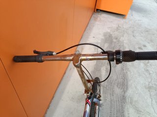 Bicicleta Plegable Urban+ Syg