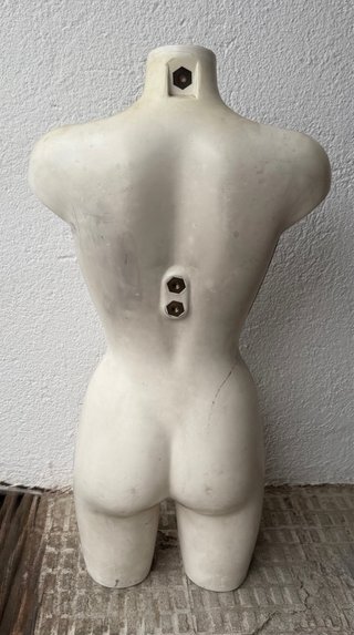 Maniquí Femenino Torso Beige/Gris