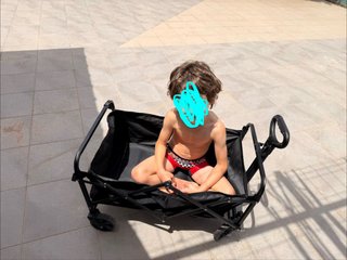 Carro de playa plegable