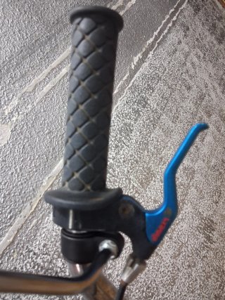 Pro kotek 20" california.