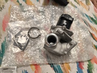Válvula EGR Citroen Peugeot Ford Volvo Fiat y más