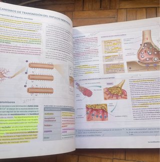 Libros de 1ro Bachillerato Anatomia Aplicada
